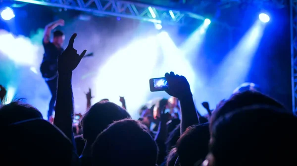 Silhouettes of people partying at rock concert