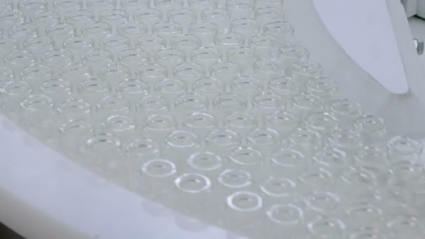 Pharmazeutische Produktionslinie - Förderband mit leeren Glasflaschen — Stockvideo