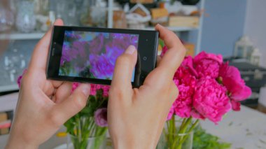 Akıllı telefonlu pembe şakayıkların fotoğrafını çeken kadın.