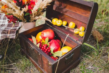 Çimlerin üzerinde bir kutuda elmalar ve kuru sonbahar buketi.