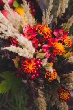 Renkli kırmızı kuru sonbahar buketi