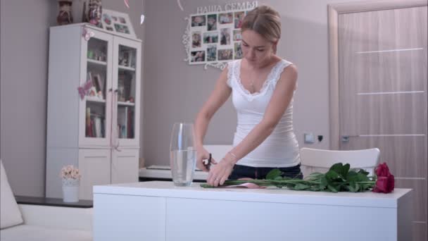 Jonge vrouw snijden stengels op bos van rozen — Stockvideo