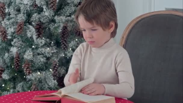 Petit garçon sérieux explorant un livre la veille de Noël — Video