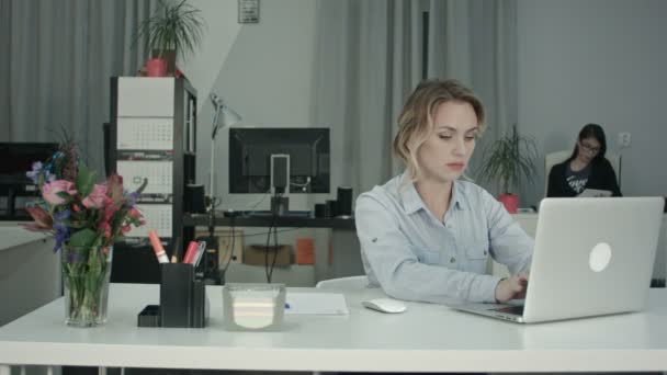 同僚のタブレットを使用している間オフィスでラップトップに取り組んで忙しい若い女性 — ストック動画