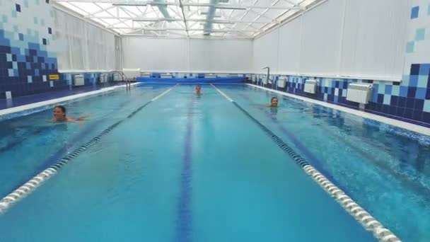 Dos mujeres sonrientes y un joven nadando en diferentes carriles de la piscina — Vídeos de Stock