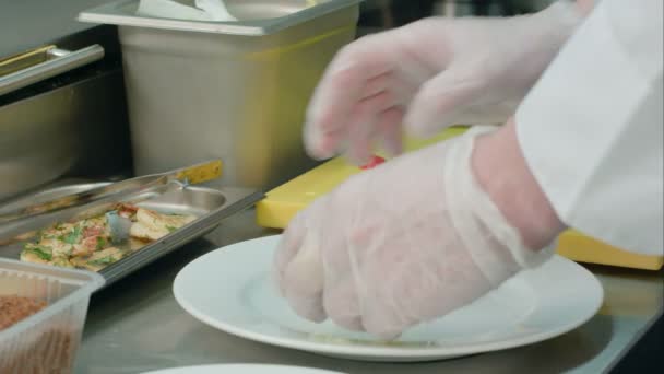 Kuchaři ruce zdobení Krevetový salát na bílé plotně — Stock video