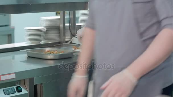 Manliga chef att sätta kokta räkor på ett serveringsfat — Stockvideo