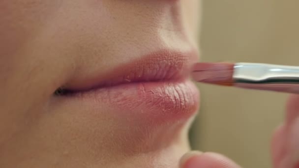 Visagist schildert lippen met borstel voor make-up — Stockvideo