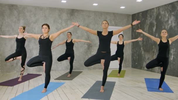 Aula de fitness e instrutor em pé em pose de árvore no estúdio de exercícios — Vídeo de Stock