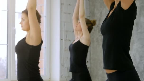 Mujeres jóvenes practicando Vrishasana Árbol pose — Vídeo de stock