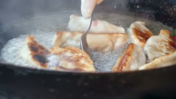 Fried dumplings i en stekpanna — Stockvideo