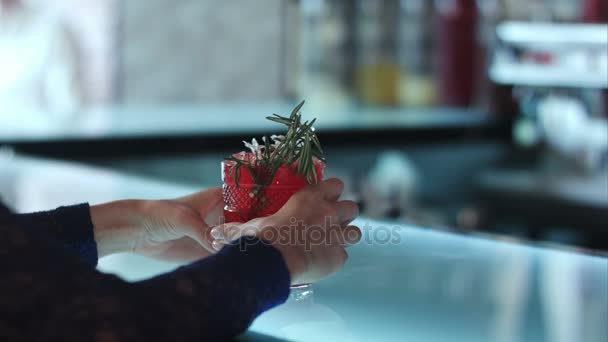 Female hands holding red cocktail in the bar — Stock Video