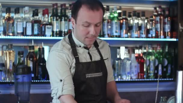 Träd bartenders arbeta i en bar — Stockvideo