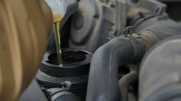 Pouring oil to car engine — Stock Video