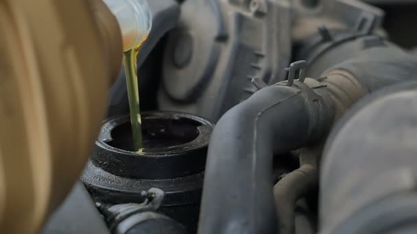 車のエンジンに油を注ぐ — ストック動画