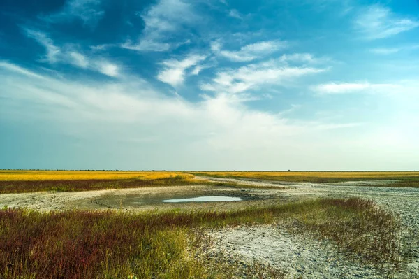 Çorak, kurak arazi küçük gölet ile