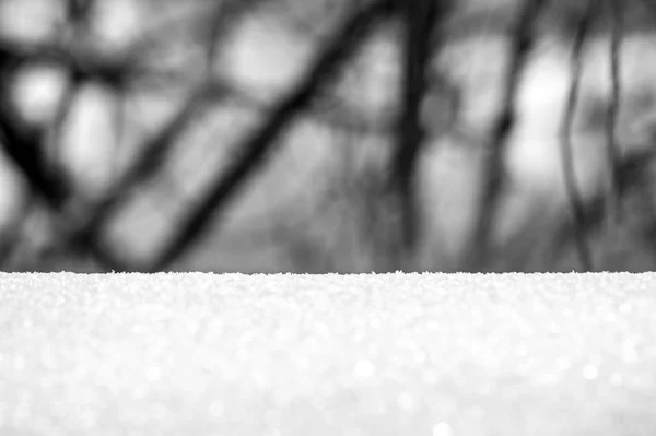 Kar ormandaki direkt hat