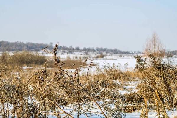 Kış görünümü Wasteland