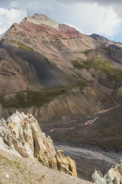 Dağ Pamirs türleri