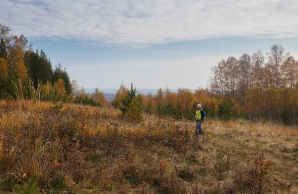 Genç bir kız sonbahar Ormanda yürür. Rusya