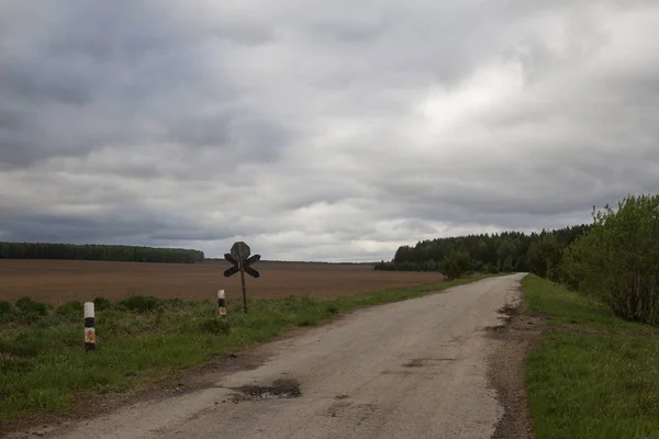 Orta Urallar güzel bahar orman yolu, Rusya