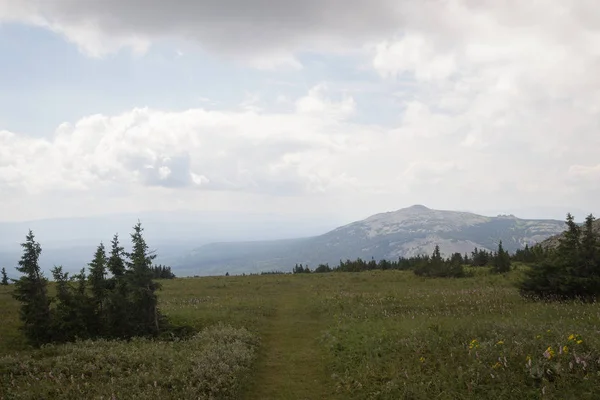 Orman kuşağından Büyük Nurgush dağına bak. Rusya, Güney Ural