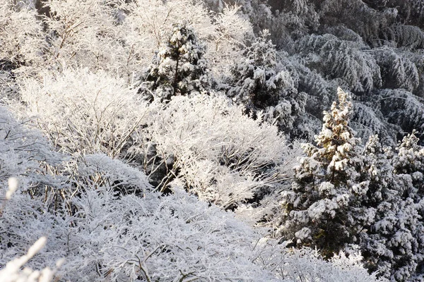 Snow in extremely cold weather