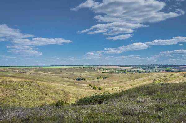 Buğday alan, Ukraynalı yaz yatay.