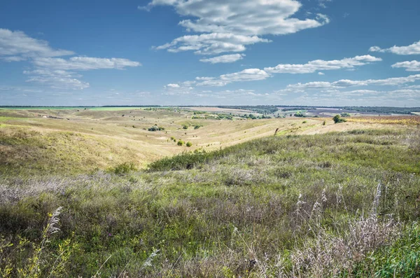 Buğday alan, Ukraynalı yaz yatay.