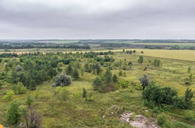 Alanları ve orman üst kısmında çatı havadan görünümü