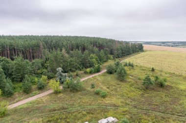 Alanları ve orman üst kısmında çatı havadan görünümü