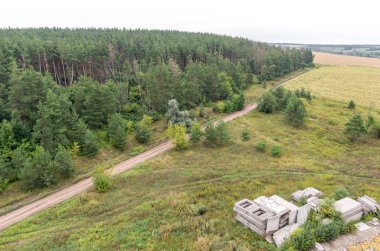 Alanları ve orman üst kısmında çatı havadan görünümü