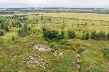 Alanları ve orman üst kısmında çatı havadan görünümü