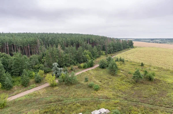 Alanları ve orman üst kısmında çatı havadan görünümü