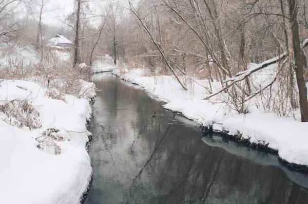 Winters Tale. El arroyo invernal en el bosque nevado — Foto de Stock