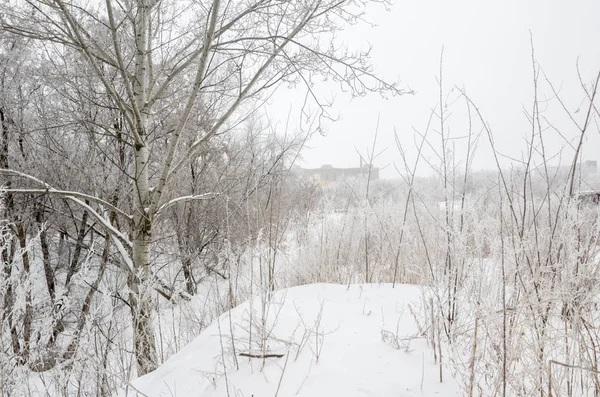 Winters Tale. The winter creek in snowy forest