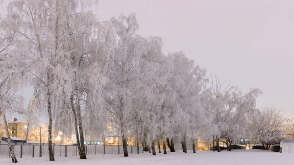 Racconto invernale. Il torrente invernale nella foresta innevata — Foto Stock