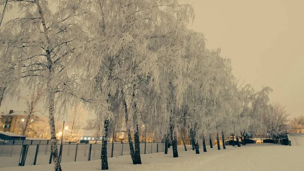 Winters Tale. Le ruisseau d'hiver dans la forêt enneigée — Photo