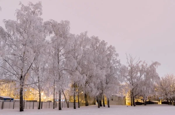 Winters verhaal. De kreek van de winter in het besneeuwde forest — Stockfoto