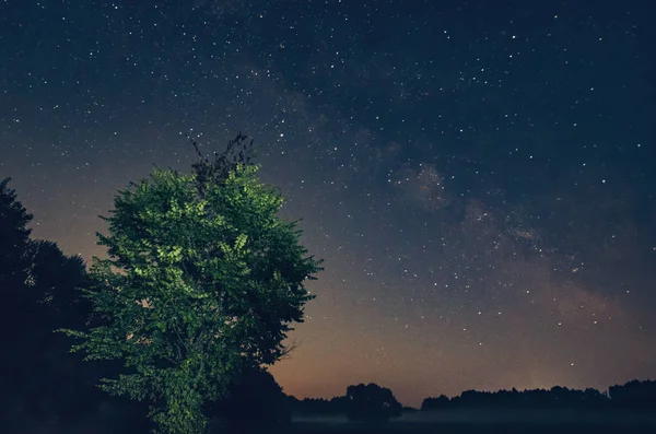 Vía Láctea en un hermoso cielo nocturno, la Vía Láctea y los árboles — Foto de Stock