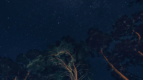 Milky way on a beautiful night sky, the Milky Way and the trees — Stock Photo, Image