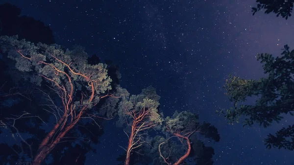 Vía Láctea en un hermoso cielo nocturno, la Vía Láctea y los árboles — Foto de Stock