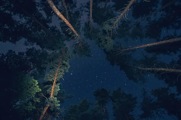Vía Láctea en un hermoso cielo nocturno, la Vía Láctea y los árboles — Foto de Stock