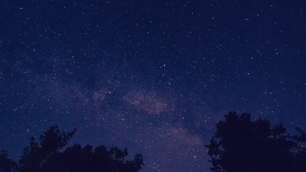 Vía Láctea sobre los árboles, el paisaje afecta a la imaginación de los espectadores, densos bosques vírgenes en las laderas contribuyen a ocultar los rastros de la civilización Imágenes De Stock Sin Royalties Gratis