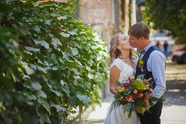 Bruid en bruidegom verliefd buiten — Stockfoto