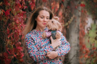 Yorkshire korkunç, genç güzel kadın yeşil yaz park karşı.