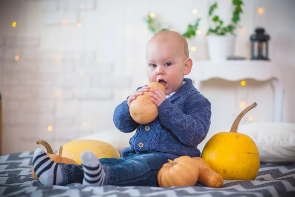 Porträt eines kleinen Jungen mit Kürbis — Stockfoto