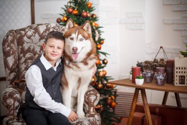 Husky Noel ağacı ile güzel bir odada oturuyor ve çocuk