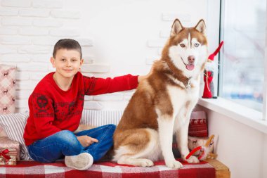 Husky Noel oturma, çocukla