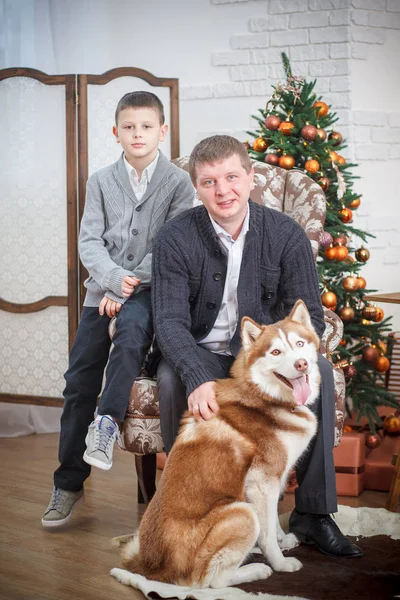 Padre y niño pequeño con Husky fondo árbol de Navidad — Foto de Stock